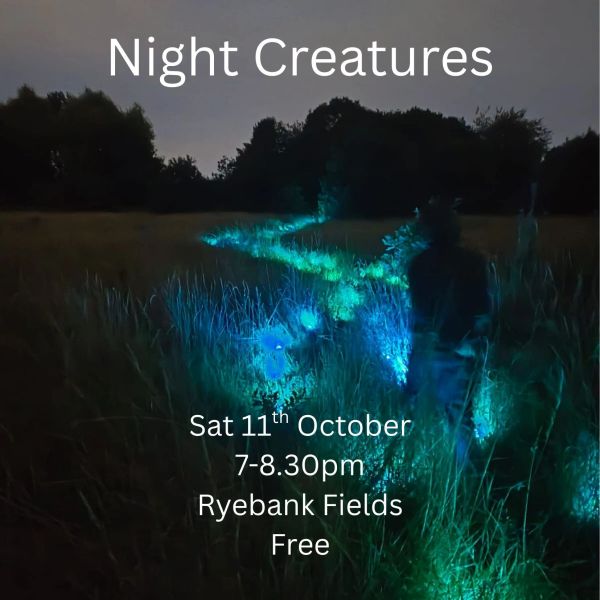 Night Creatures lantern bat walk at Ryebank Fields
