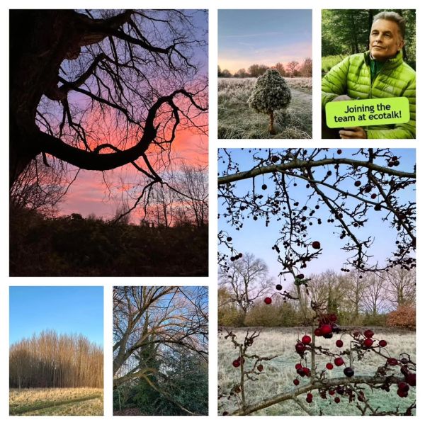 Various nature scenes featuring trees, berries, and a man joining Ecotalk